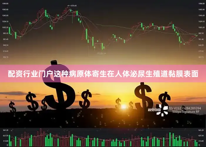 配资行业门户这种病原体寄生在人体泌尿生殖道黏膜表面